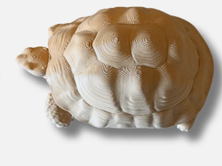 3D gedruckte Schildkröte aus PLA in verschiedenen Farben
