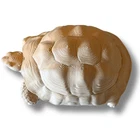 3D gedruckte Schildkröte aus PLA in verschiedenen Farben – Bild 2